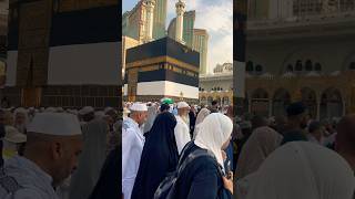 Mashallah hajj makkalivetoday hajjlive mecca madinahlive madina shortvideo shorts explore [upl. by Aicina]