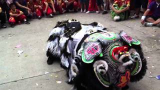 Traditional Hong Kong lion dance [upl. by Attenoj]