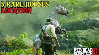 5 Rare fastest horses with status amp Locations  Red Dead redemption 2  red openworldoff horses [upl. by Nwahsyt]