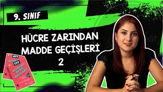 13 HÜCRE ZARINDAN MADDE GEÇİŞLERİ 2  9 SINIF  TYT BİYOLOJİ DERS NOTLARI  2024 [upl. by Irbua]