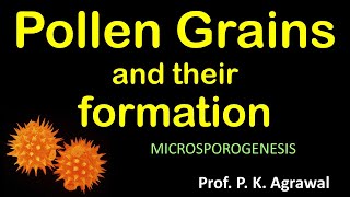 Pollen grain  microspore formation Reproduction in flowering plant  Class 12 Chapter 2 Video 4 [upl. by Frieda]