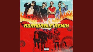 Agradable Remix feat Trainer [upl. by Mehs838]