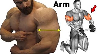 5 Best Exercises For Forearms  Home Workout [upl. by Rochester583]