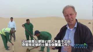 Chinese subtitles Groasis anti desertification instruction film in Dubai to plant trees in deserts [upl. by Mell183]