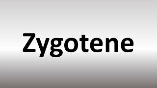 How to Pronounce Zygotene [upl. by Picardi]