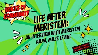 Life After Meristem An Interview with Meristem Alum Miles Levine [upl. by Naejeillib]