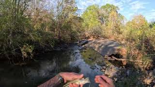 Creek Bass 3 GoPro Verison [upl. by Varion]