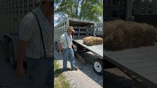 Loading horse and wagon the easy way  viral horsenation drafthorse equine horse [upl. by Orihakat]