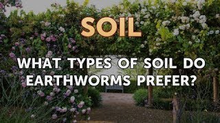 What Types of Soil Do Earthworms Prefer [upl. by Saunders]