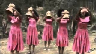 Haylu Disasa  Amma Yaamarii  Oromo Music [upl. by Yllah487]