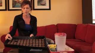 How to Start Onion Seeds Indoors in Peat Pellets [upl. by Anner342]