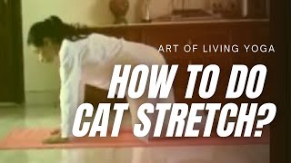 How To Do Cat Stretch Yoga  Marjari Asana  Sri Sri Yoga  Kamlesh Barwal [upl. by Naened]