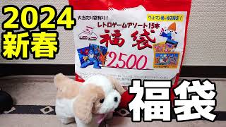 【大当たり有！】2024年新春ワットマン梶ヶ谷店限定ゲーム福袋開封 Wattmann Game Lucky Bag [upl. by Yetac671]