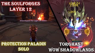 TORGHAST Layer 12  The Soulforges Walkthrough Guide  Prot Paladin POV Solo  WOW Shadowlands [upl. by Eneirda]