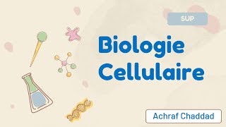 Biologie Cellulaire  Plan du Cours [upl. by Yrocej]