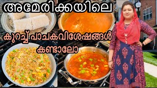 Malayali Mom In USAdailyvlog cookingathome adayinmylife [upl. by Ennoval]