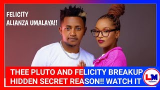 THEE PLUTO AND FELICITY SHIRU BREAKUP REASON YOU WILL BE SHOCKED [upl. by Nwahsel497]