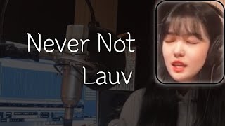 Never notLauv cover [upl. by Noit]