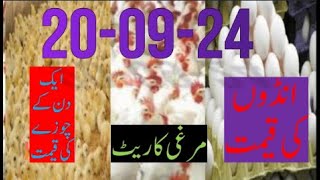 2009 2024 broiler rate Today egg rate Today chicks priceToday poultry rate today chicken rate [upl. by Onaicilef380]