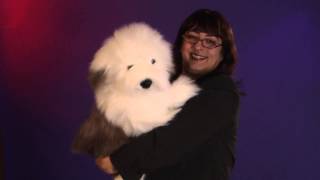 Folkmanis® Sheepdog Puppet Demo [upl. by Cirnek881]