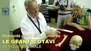 Géants dAfrique australe  lHomme dOtavi 350m par Michael Tellinger amp Pr Thackeray VOSTFR [upl. by Ahseikan]