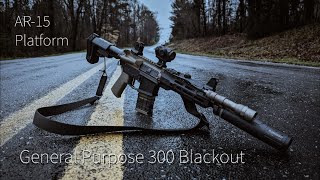 Considerations for a General Purpose 300BLK AR15  Minute of Man [upl. by Mcgregor87]