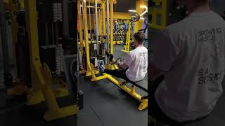 Single arm row cable machine [upl. by Huber]