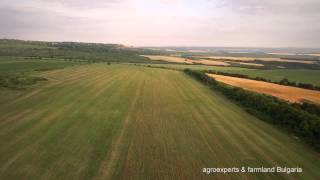 Жътва на ‪‎Silybum‬ marianum в сАврен производител Farmland Bulgaria ‪ [upl. by Keram271]