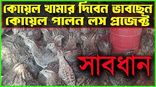 নতুন কোয়েল খামারি সাবধান কোয়েল পাখির খামার একদম লস প্রজেক্ট  Quail Farming  Koyel pakhi palon [upl. by Tim953]