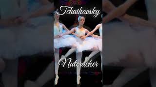 TCHAIKOVSKY  NUTCRACKER [upl. by Koa345]