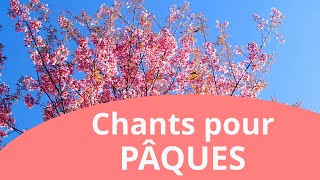 25min de chants et louanges chrétiennes pour fêter Pâques 🎀 [upl. by Naes]