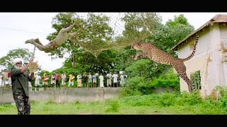 तेंदुए ने पुरे गांव में कर दिया हम्ला देखिए कैसे हीरो ने आपने जान की बाज़ी लगाकर बचाया गांव वालो को [upl. by Lyontine752]