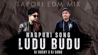 LUDU BUDU SAG  NEW NAGPURI  DJ ROCKY X DJ SONU [upl. by Eisyak]