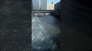 chicago river views downtown reels shorts tour asmr touristattraction [upl. by Northway]