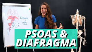 PSOAS Y DIAFRAGMA  ANATOMÍA BIOMECÁNICA LESIONES Y DISFUNCIONES  FISIOTERAPIA PARA CROSSFIT [upl. by Ches307]