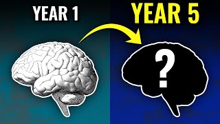 How Years Of Language Learning Affects Your Brain [upl. by Blaseio]