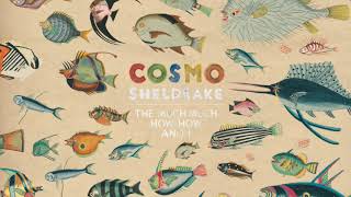 Cosmo Sheldrake  Come Along [upl. by Pollerd281]