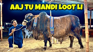 Aaj Mandi Loot Li 😍  Naseeb Ka Soda Hogaya  Cow Mandi Vlog  Janwar Pasand Agaya  Bakra Eid [upl. by Hcirteid]