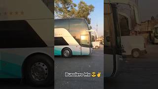 Turistar Lujo ⭐⭐⭐ Man Marcopolo Eclipse bus viaje travel autobuses man shorts [upl. by Llerrem]