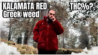 ΜΕΤΡΗΣΗ THC ΚΑΙ REVIEW KALAMATA RED  vlog FreiburgTitisee [upl. by Dhruv]