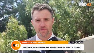 JUICIO POR MATANZA DE PINGUINOS EN PUNTA TOMBO [upl. by Allenotna732]