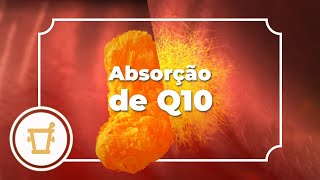 Absorção de Q10  Pharma Nord [upl. by Monteria]