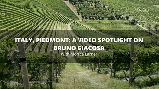 Italy Wines  Piedmont A Video Spotlight on Bruno Giacosa with Monica Larner [upl. by Adnawad]