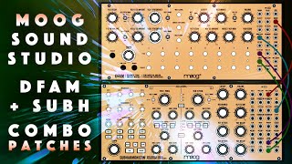 Moog Sound Studio DFAM  Subharmonicon 50 Combo Patches  Samples Demo [upl. by Oneil]