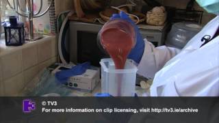 TV3 How to make a Placenta Smoothie [upl. by Schweitzer786]