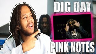 DigDat  Pink Notes Official Video [upl. by Lemmor]