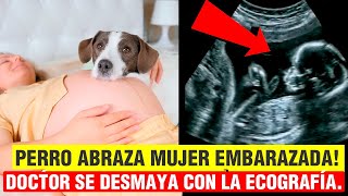 Perro ABRAZA a mujer EMBARAZADA y el médico ve un detalle IMPACTANTE en la ecografía [upl. by Negaet]