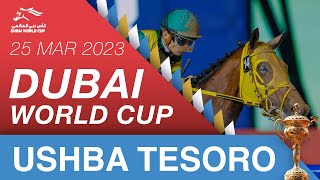 Dubai World Cup  250323  Dubai World Cup sponsored by Emirates Airline  Ushba Tesoro [upl. by Asiilanna]