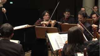 RimskyKorsakov Scheherazade 3rd Mvt  Videnoff  Mannheimer Philharmoniker [upl. by Nirehs]