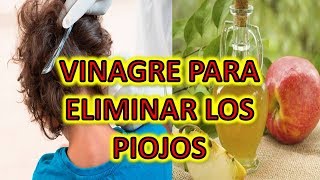 Elimina Los Piojos Y Liendres Con Vinagre – Adiós A Los Piojos Y Liendres Con Vinagre Natural [upl. by Grimbly]